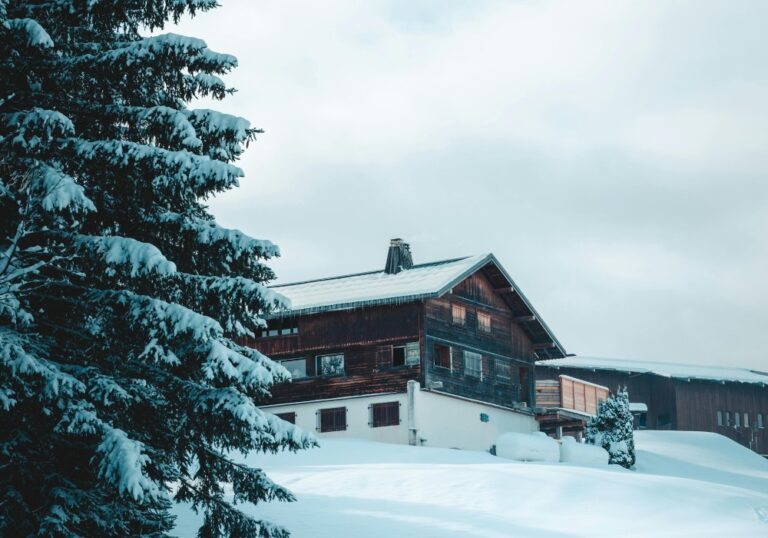 A house in the snow with trees and snow